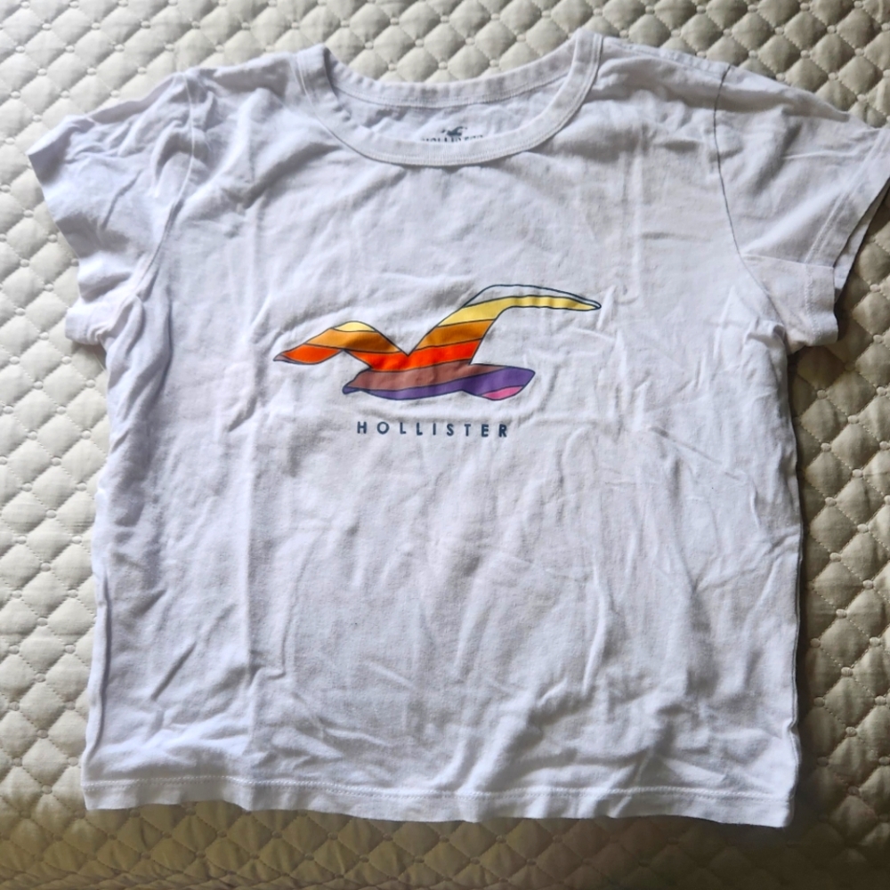 Hollister  graphic T